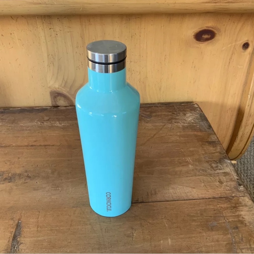 Corkcicle 16 oz canteen with lid - light green/blue